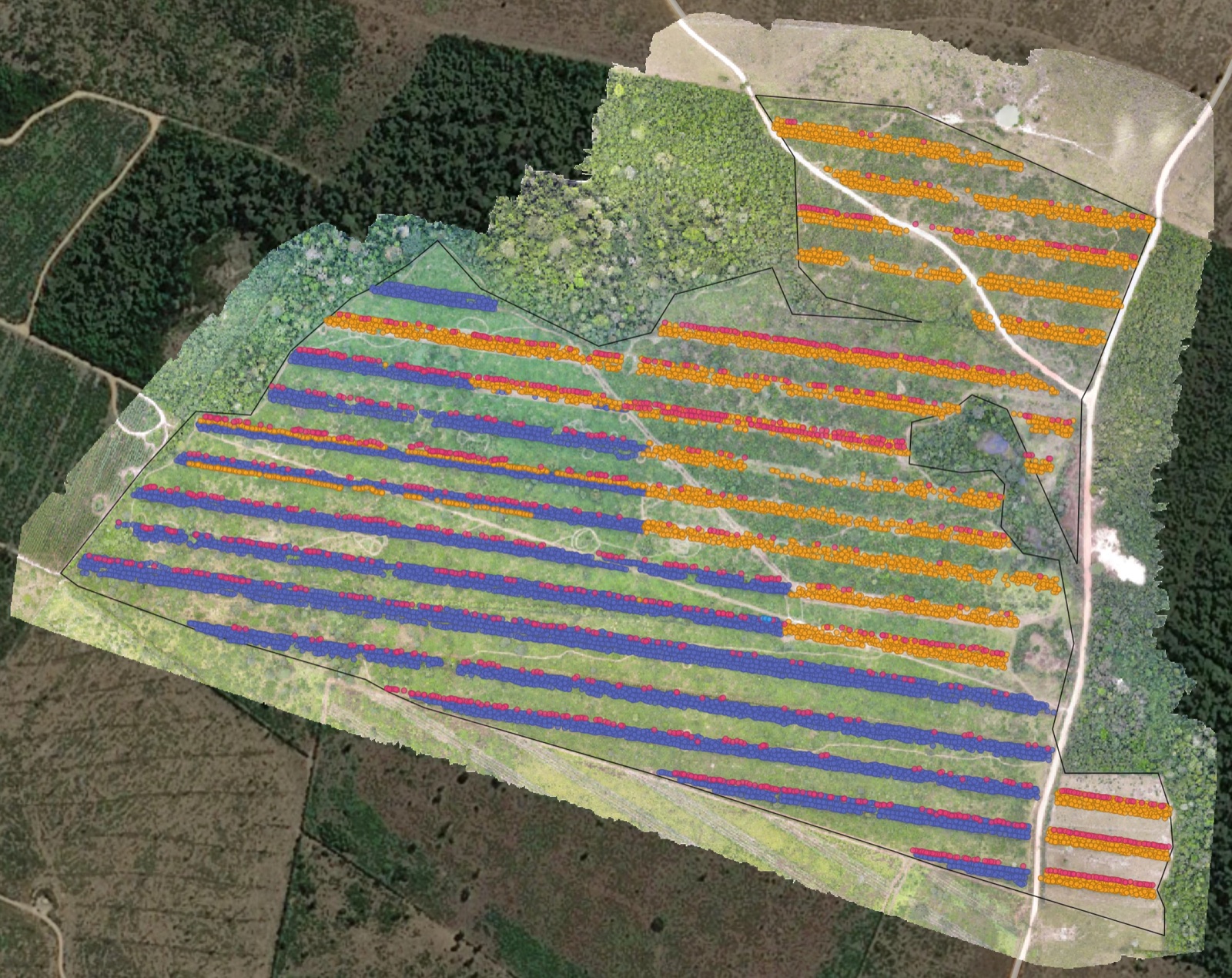 Map of a Working Trees silvopasture project with geotagged trees